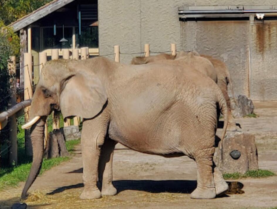 Picture of Seneca Park Zoo