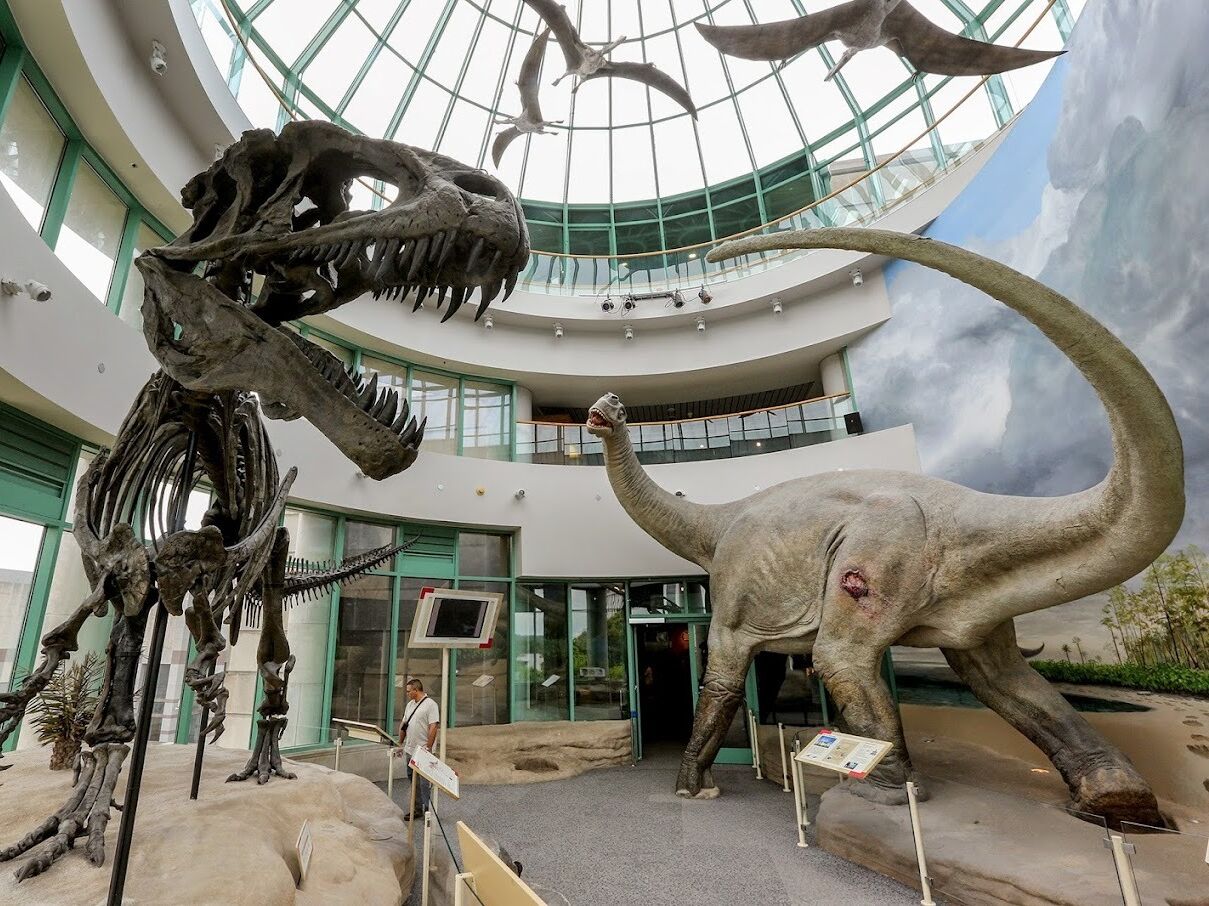 Picture of North Carolina Museum of Natural Sciences