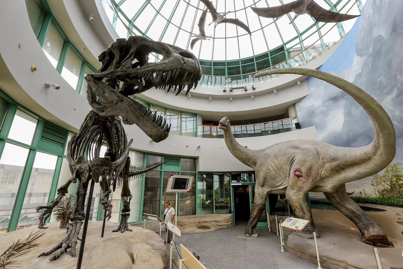 Picture of North Carolina Museum of Natural Sciences