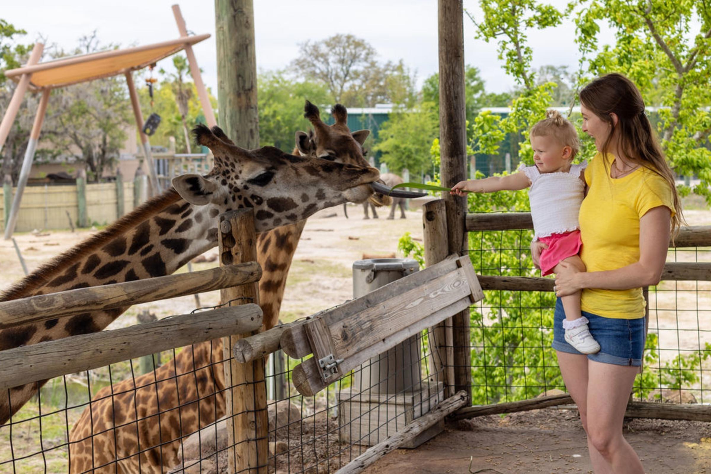 Picture of ZooTampa at Lowry Park