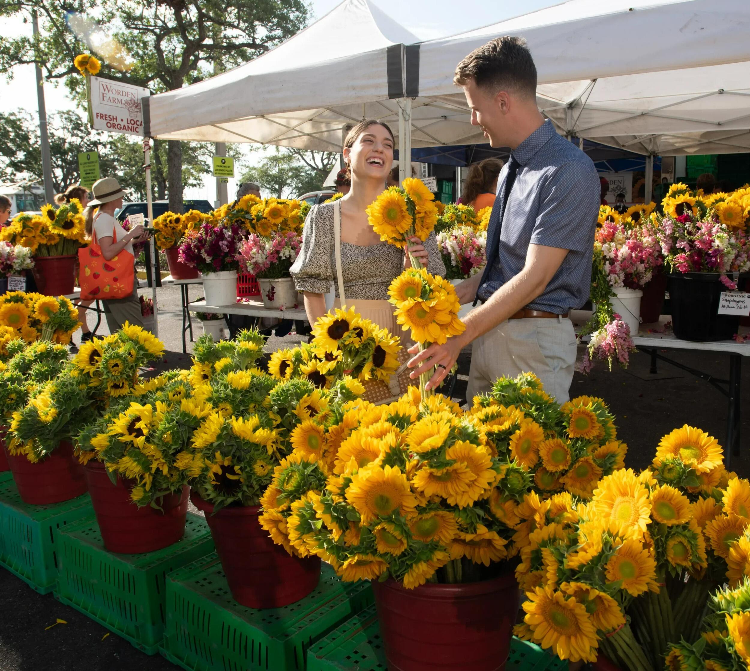Picture of St. Petersburg Saturday Morning Market