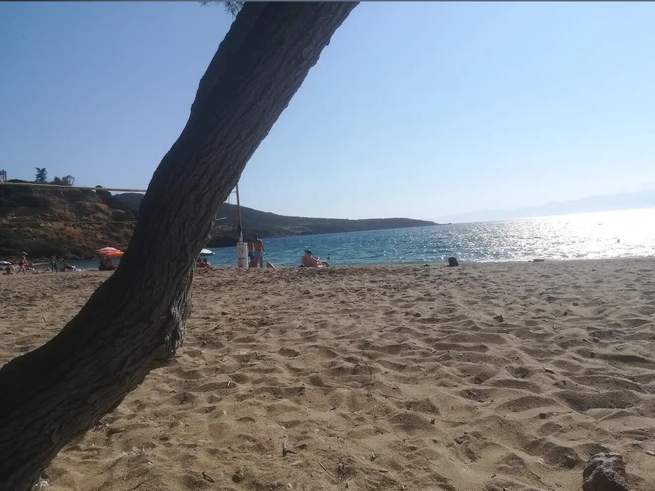 Picture of Μποζάς