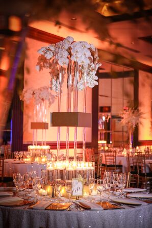 White Orchids in Tall Glass Vases