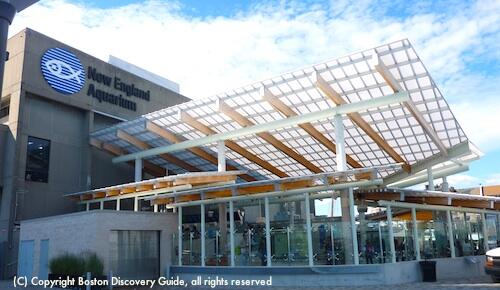 Picture of New England Aquarium
