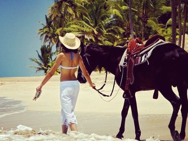 Picture of Complimentary Horseback Riding on the Beach