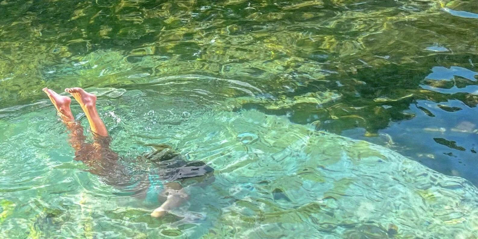 Picture of Barton Springs Pool