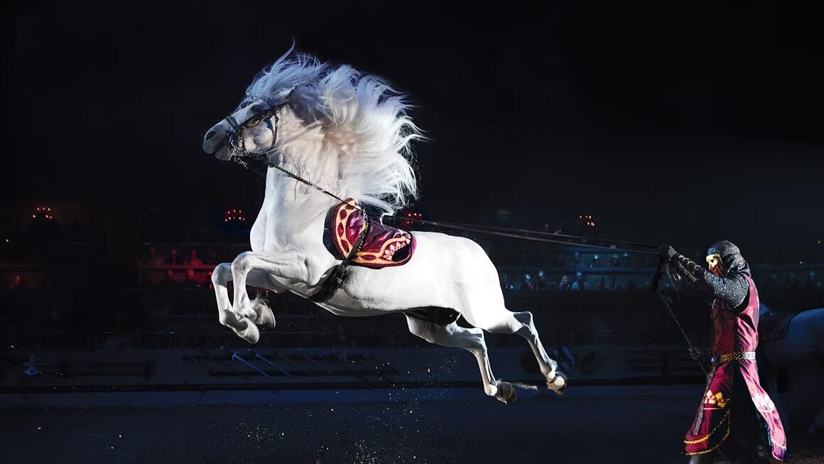 Picture of Medieval Times Dinner & Tournament
