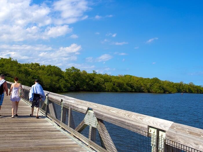 Picture of John D. MacArthur Beach State Park