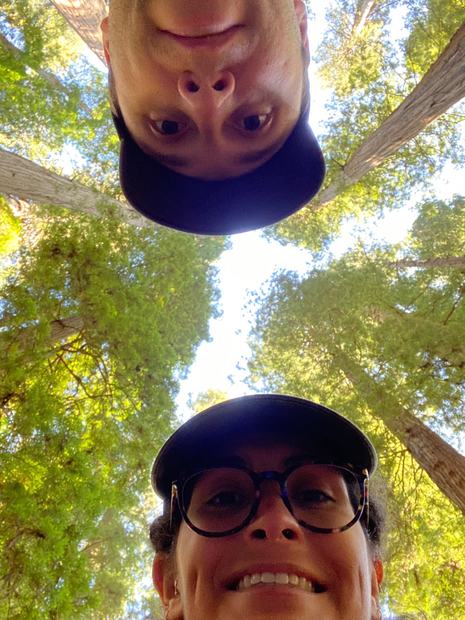 We continue our shenanigans from the redwood forest...