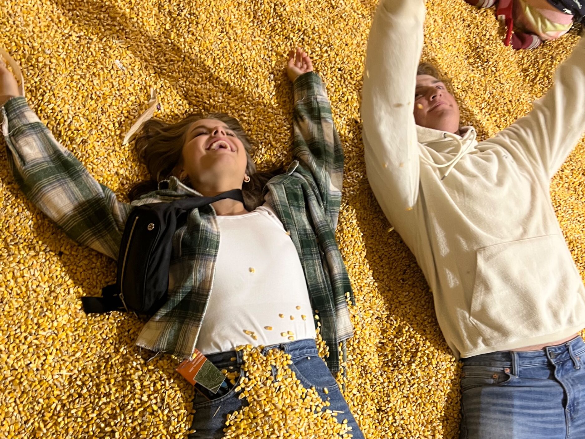 Picture of corn was cuddled
