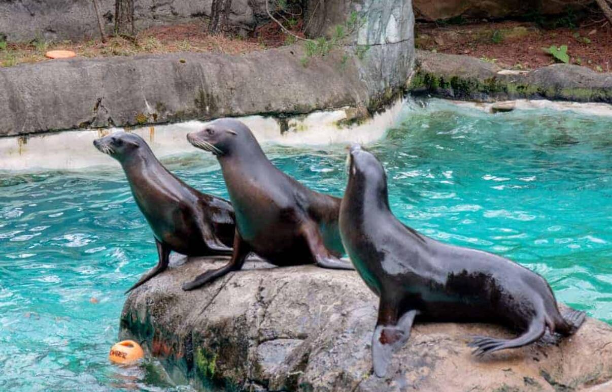 Picture of Pittsburgh Zoo