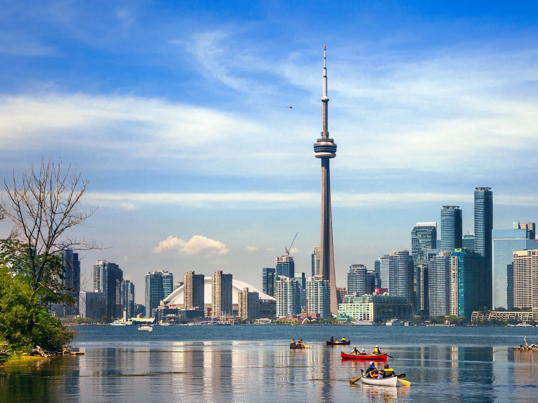 Picture of CN Tower