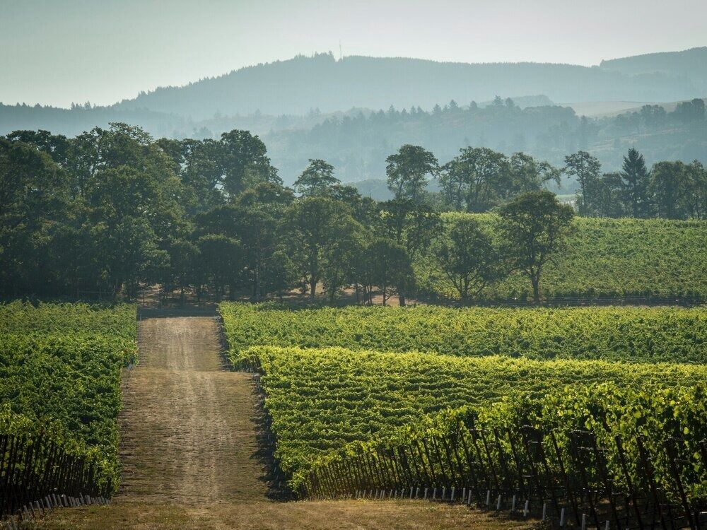 Picture of Left Coast Estate Winery