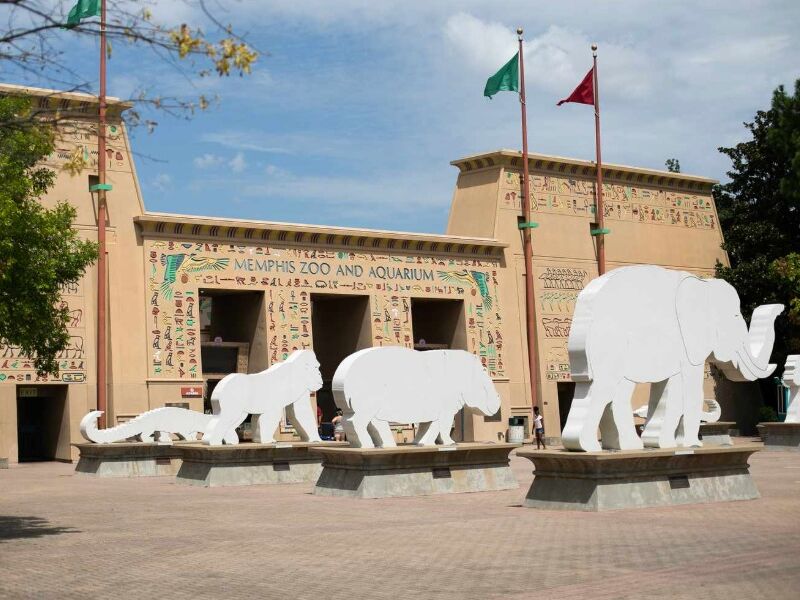 Picture of Memphis Zoo