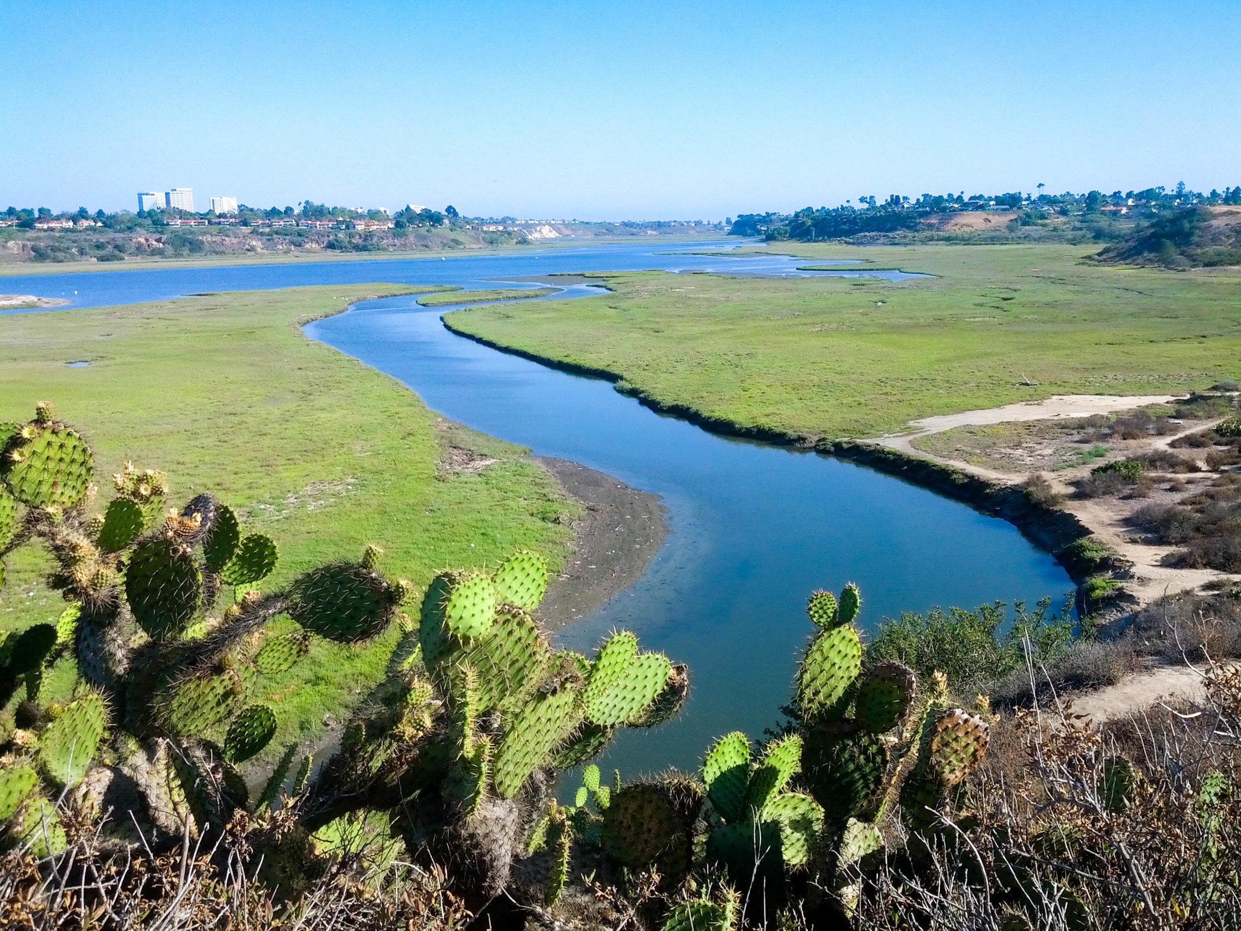 Picture of Upper Newport Bay Nature Reserve