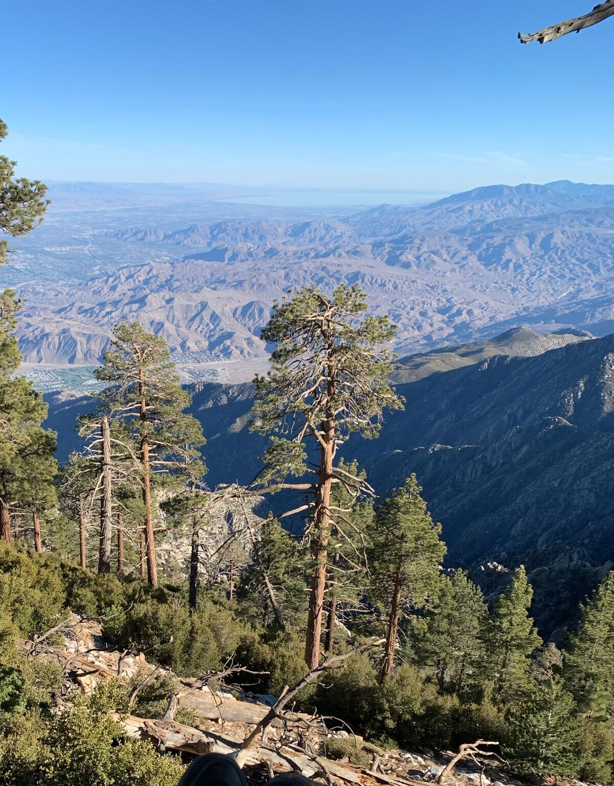 Picture of Palm Springs Aerial Tram