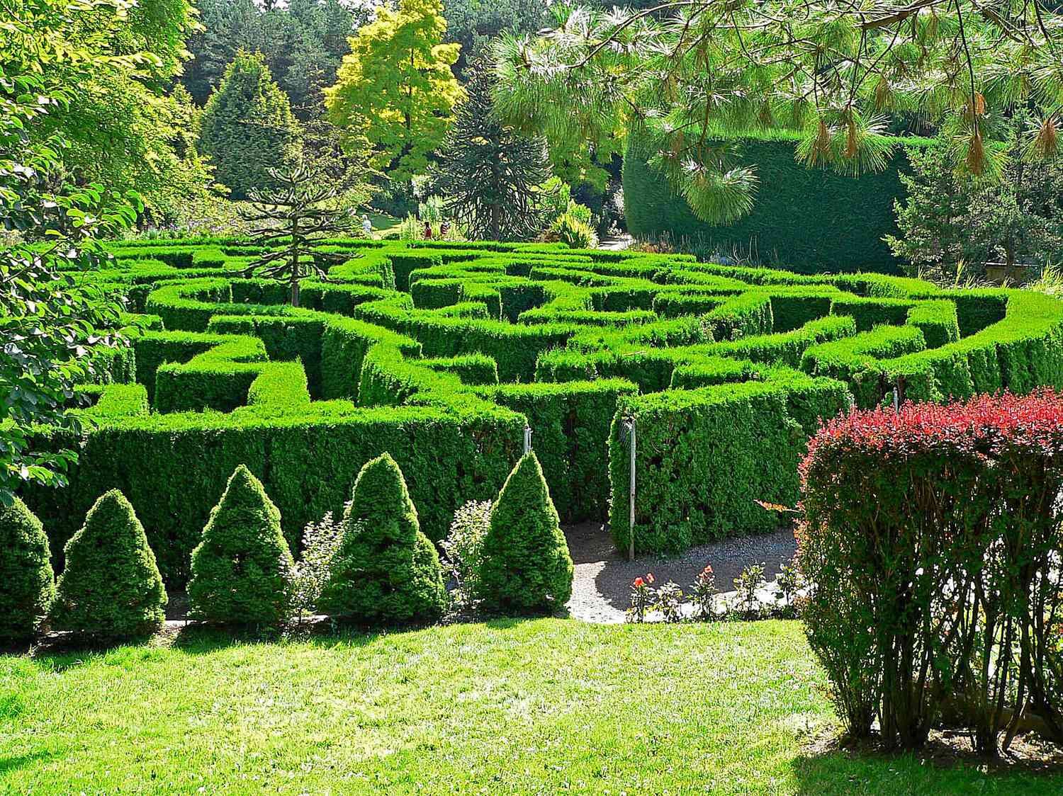 Picture of VanDusen Botanical Garden