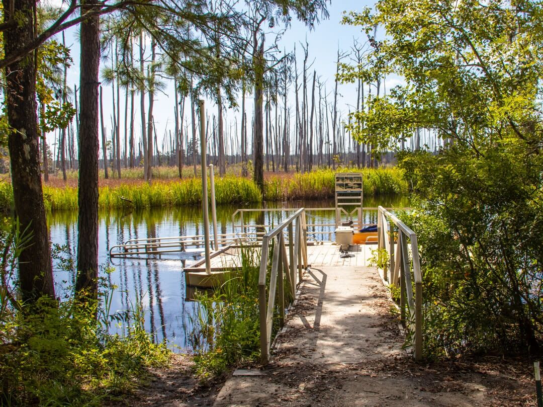 Picture of Moccasin Lake Nature Park