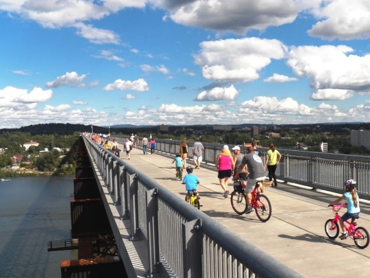 Picture of Walkway over the Hudson