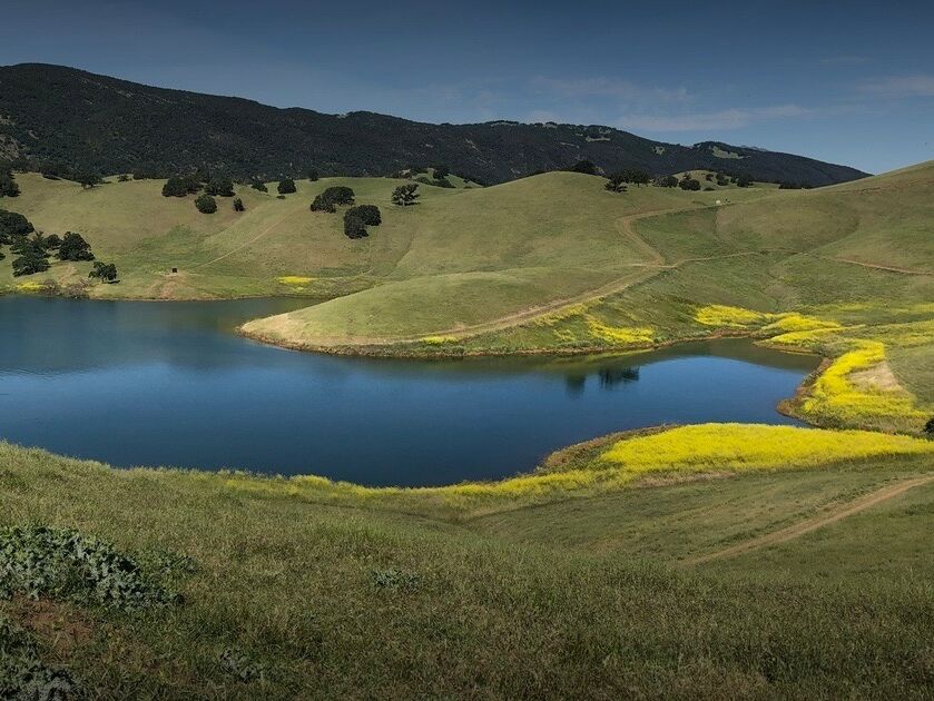 Picture of Los Vaqueros Reservoir & Watershed