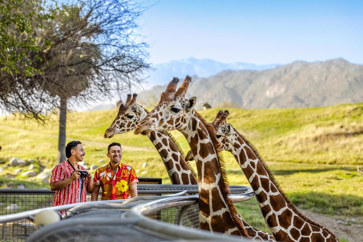 Picture of The Living Desert Zoo and Gardens