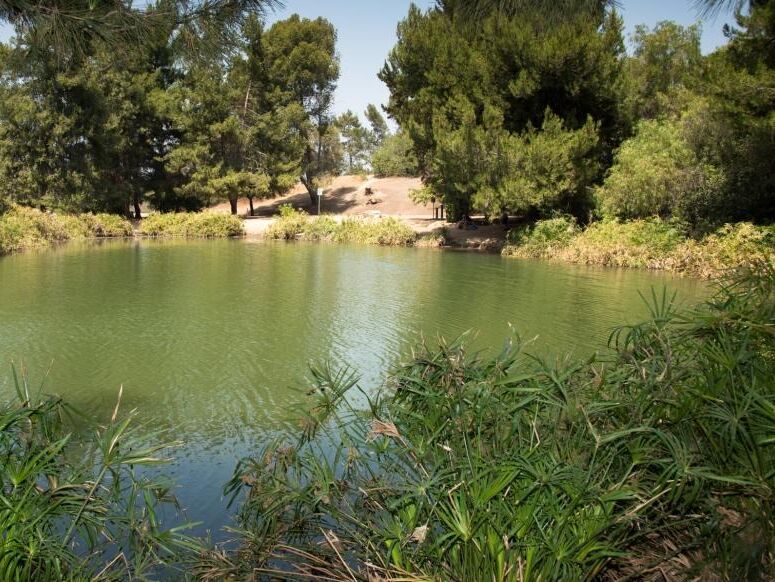 Picture of Ernest E. Debs Regional Park