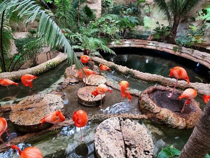 Picture of The Dallas World Aquarium