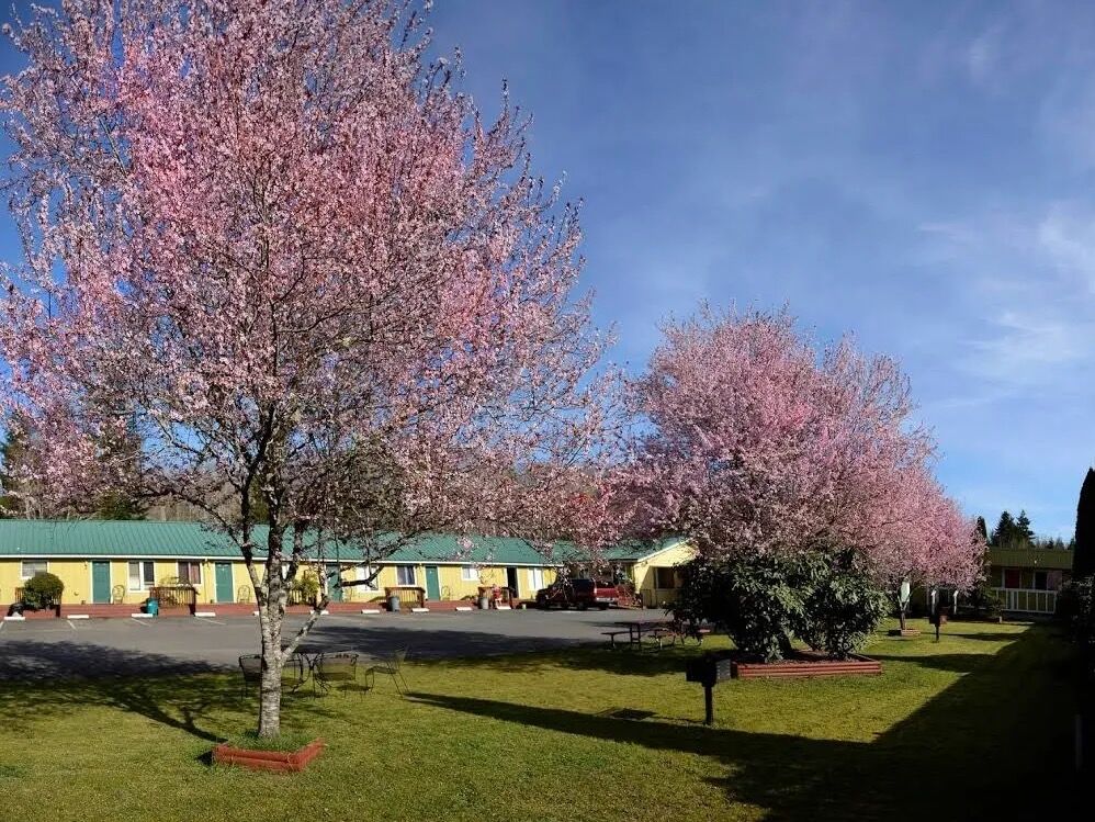 Picture of Lake Quinault Inn