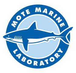 Picture of Mote Marine
