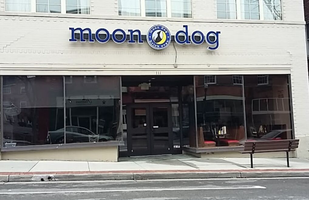 Picture of Moon Dog