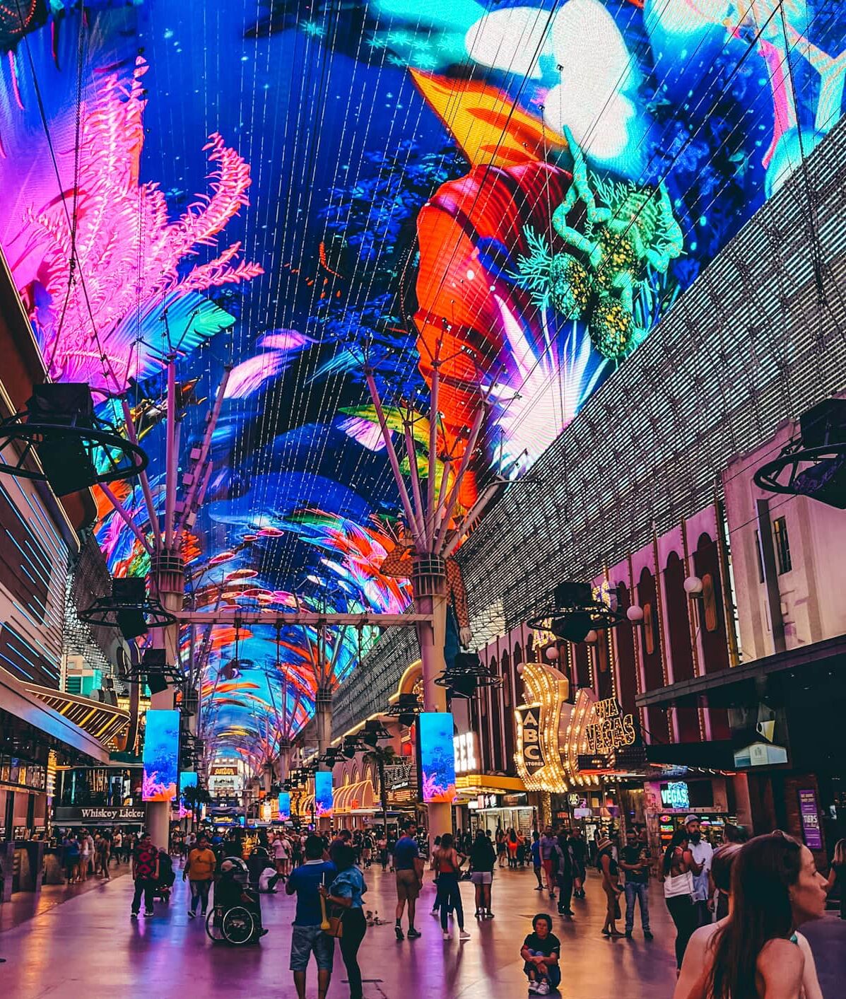 Picture of Fremont Street Expirence 
