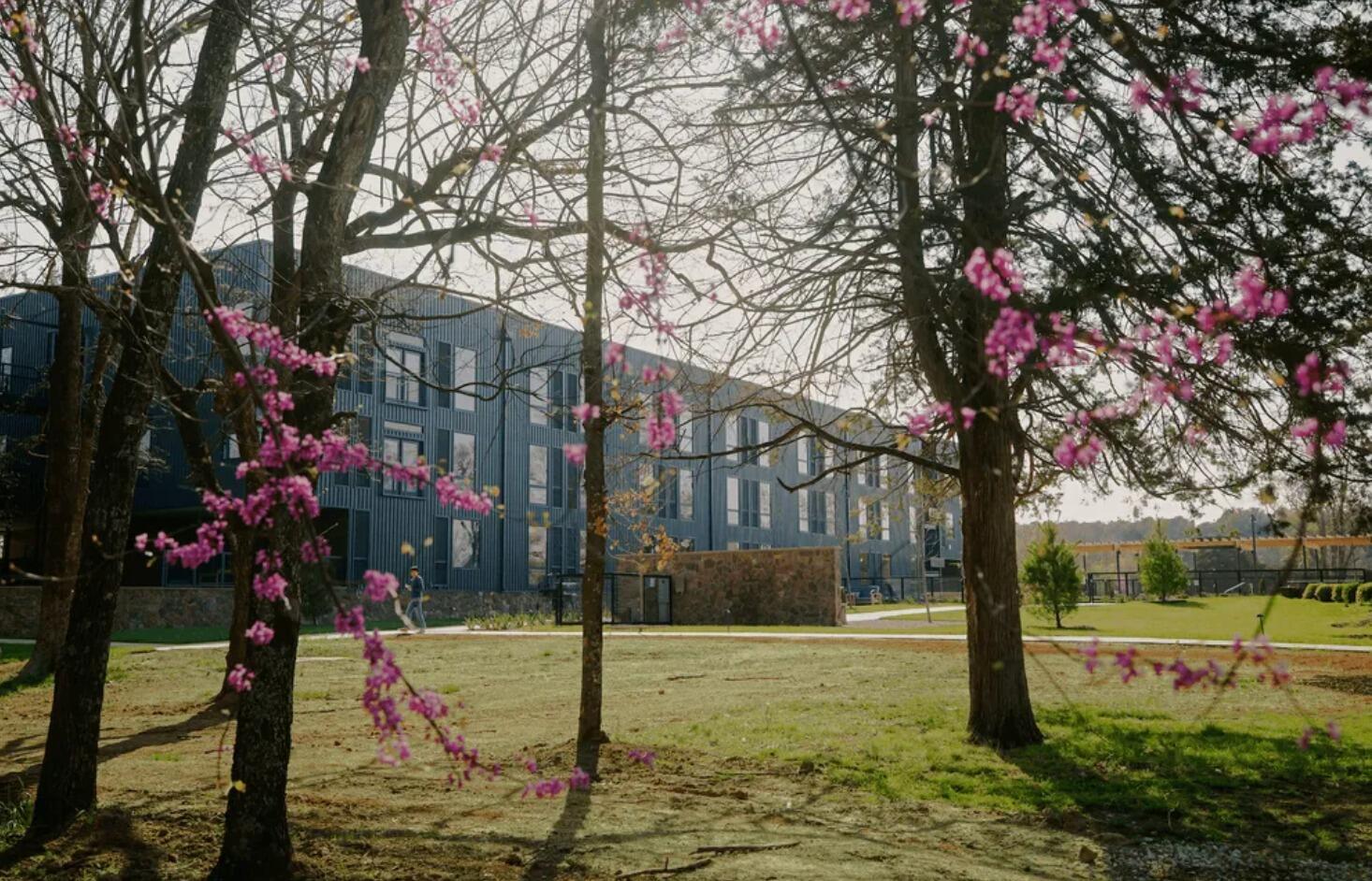 Picture of The Stonebreaker Hotel