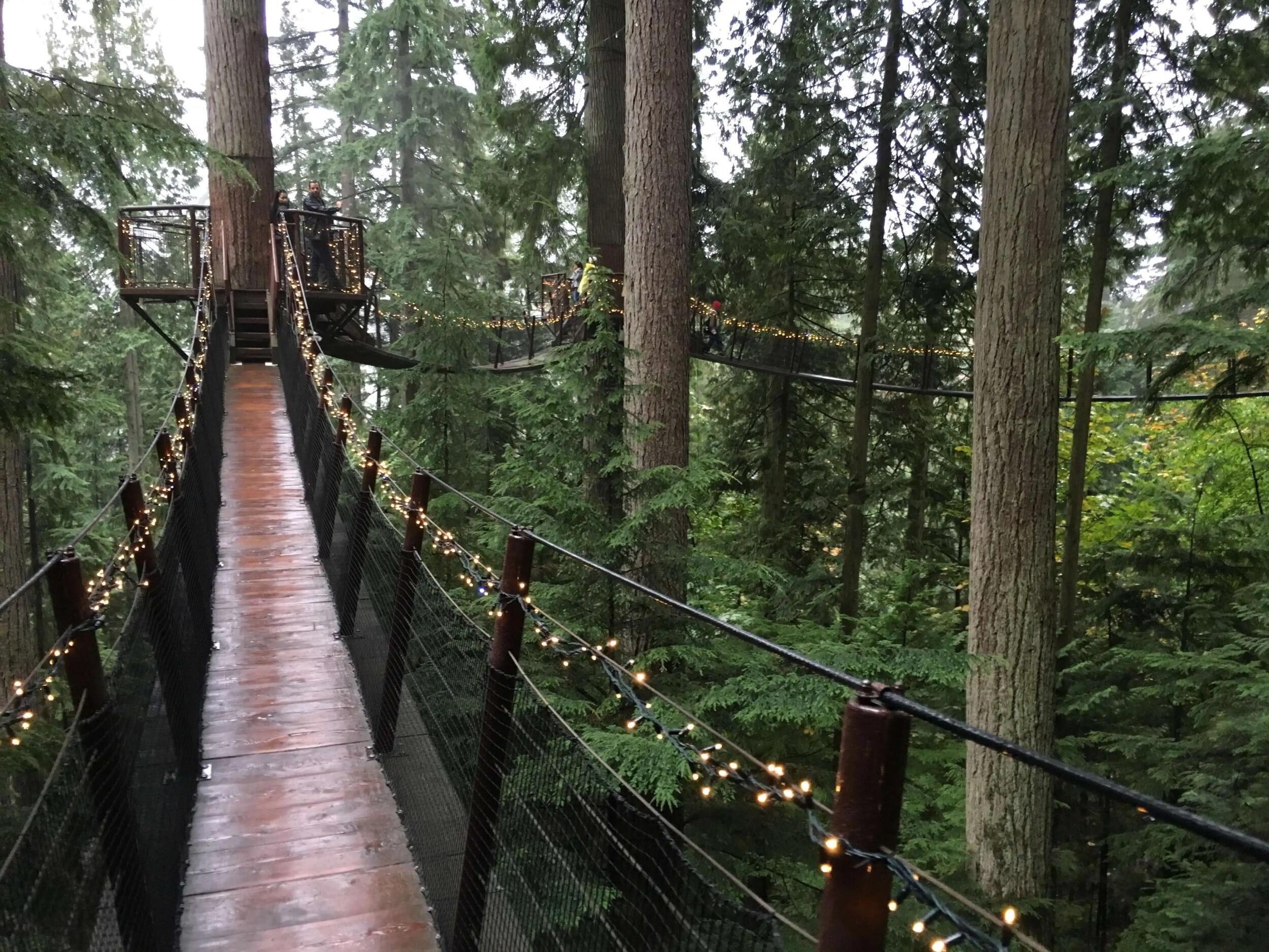Picture of Capilano Suspension Bridge Park