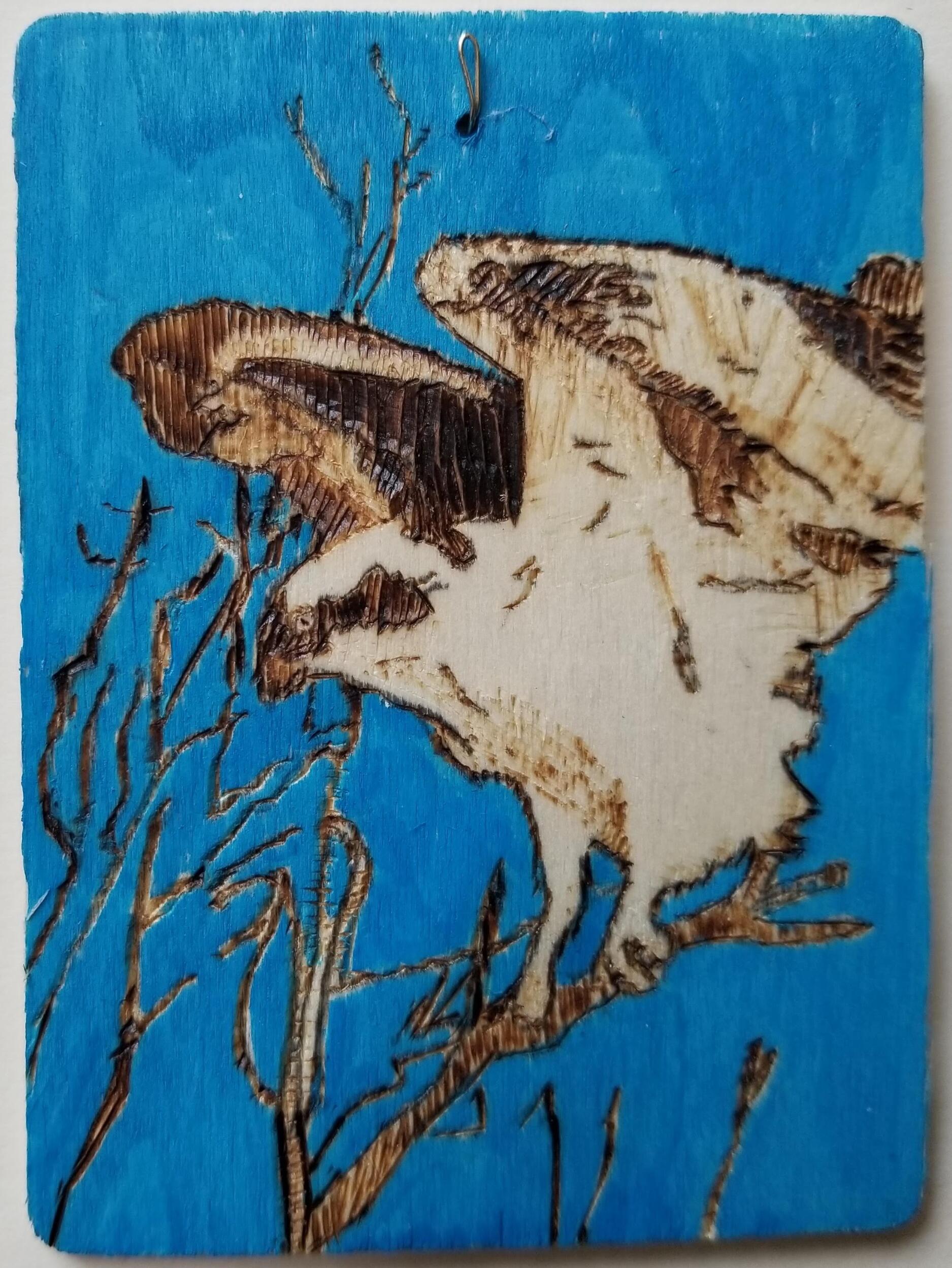 Picture of Jacob Fulk | Table 20 Osprey
