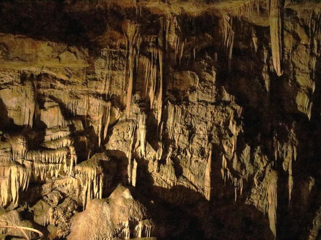 Picture of Moaning Caverns Adventure Park