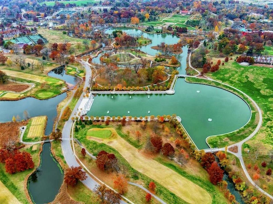 Picture of Forest Park