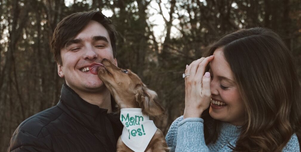 Picture of The Proposal 