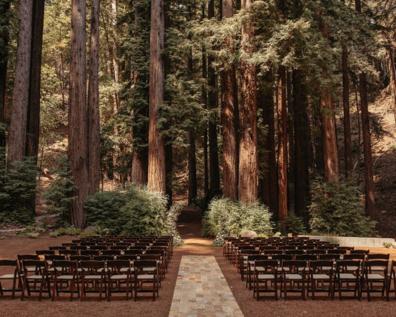 Picture of The Venue