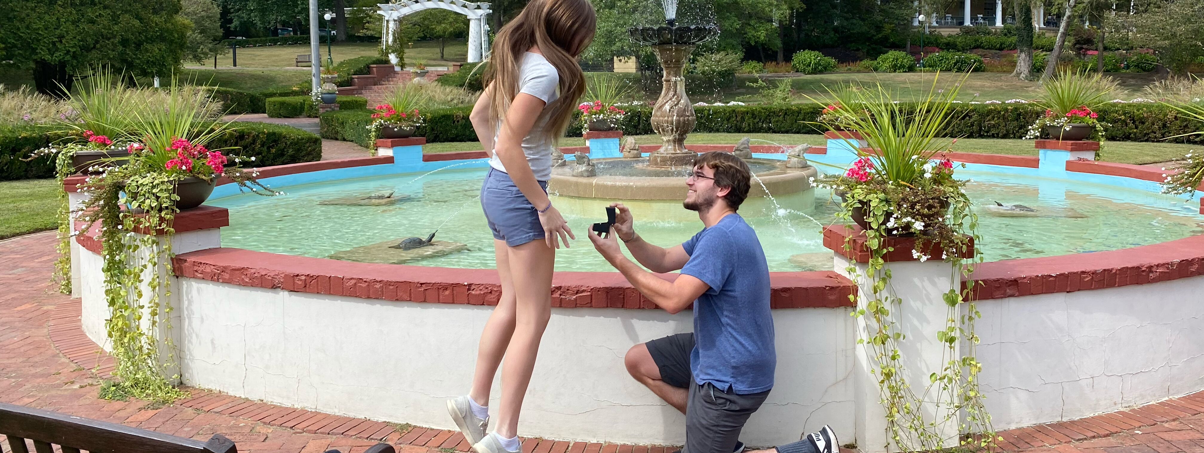 Picture of The proposal 