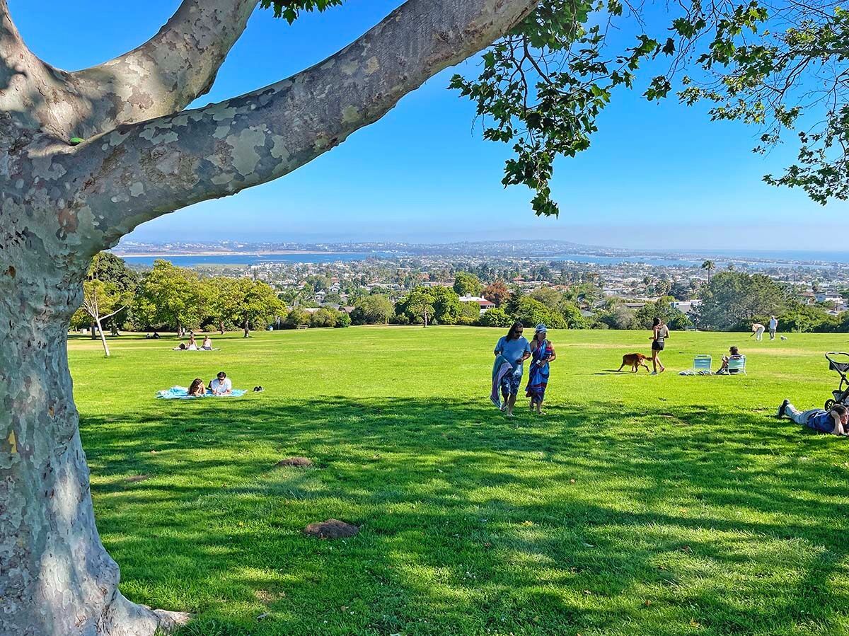 Picture of Kate Sessions Memorial Park