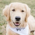 Bailey Vandervelde King
