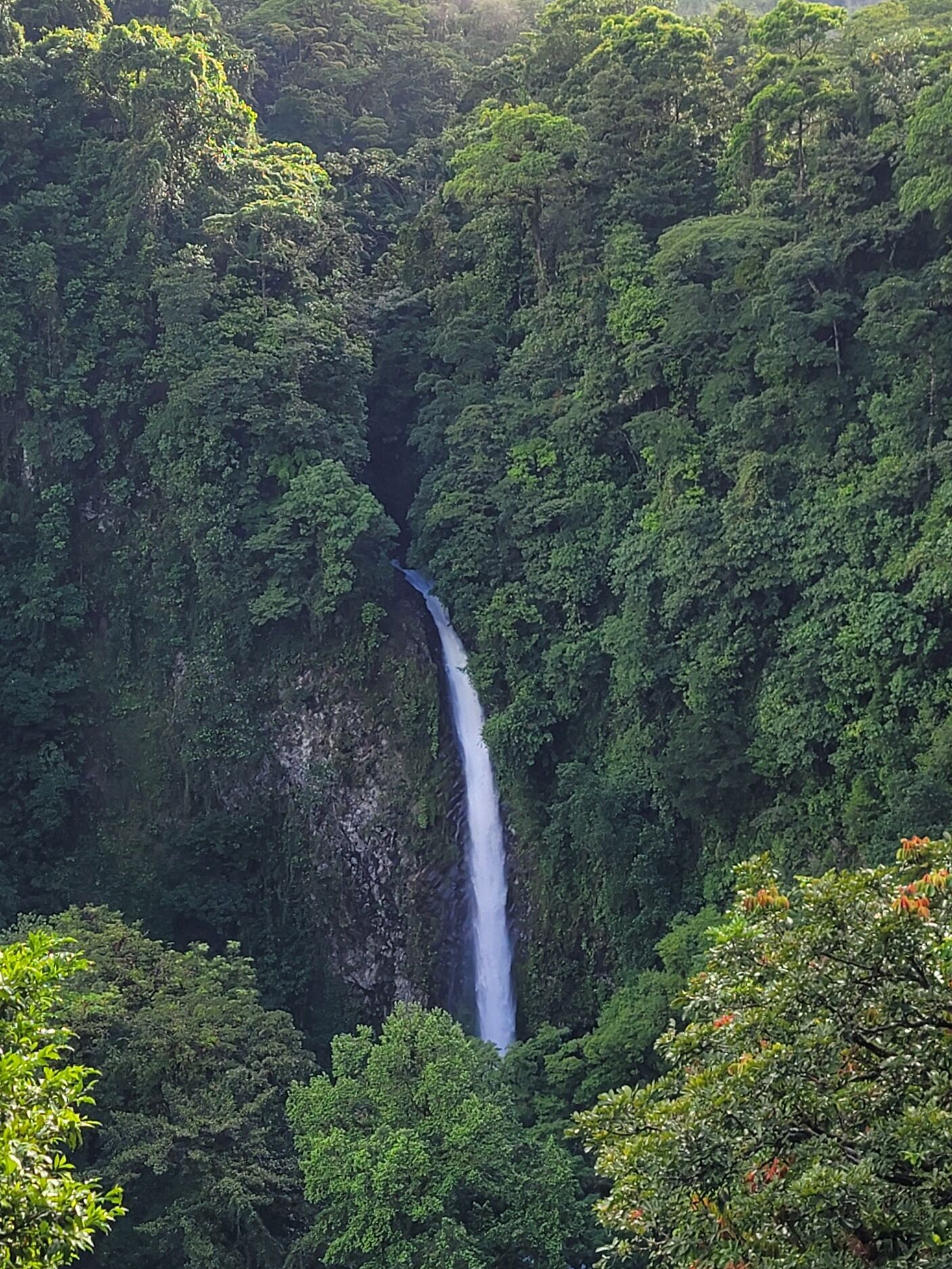 Picture of La Fortuna Waterfall