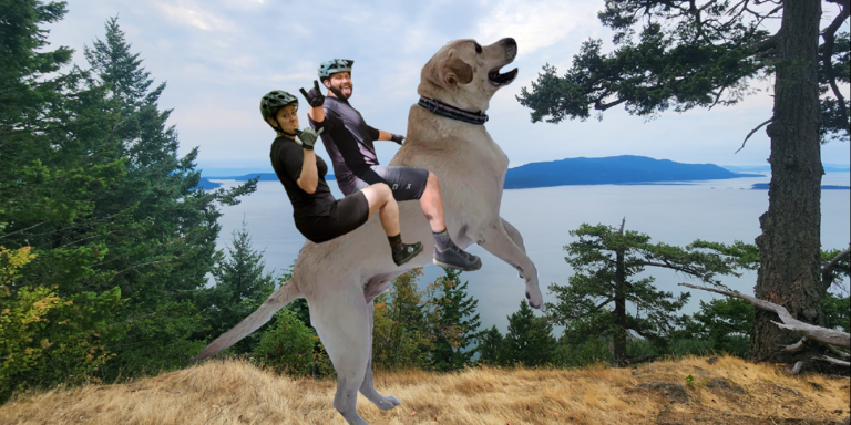 Greg & Jacqui Home Page Banner