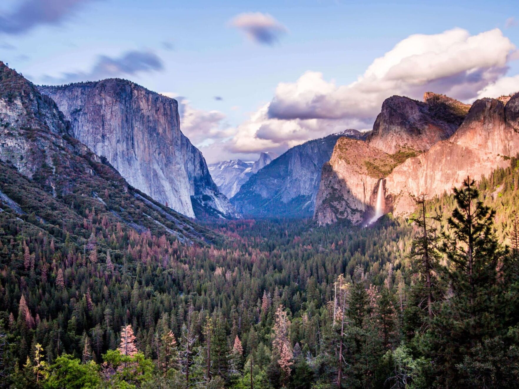 Picture of Yosemite National Park