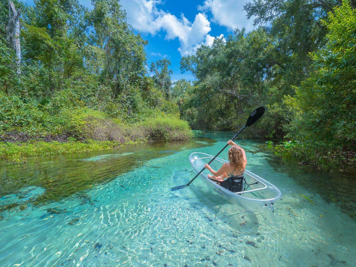 Picture of Wekiwa Springs State Park
