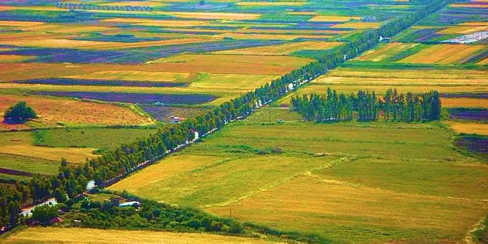 Picture of Bekaa Valley & Wineries