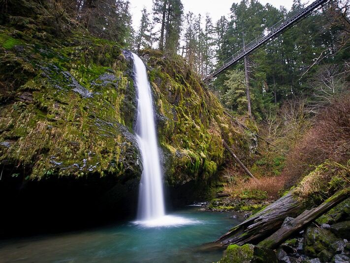 Picture of Drift Creek Falls Trail 1378 (Trail Head)