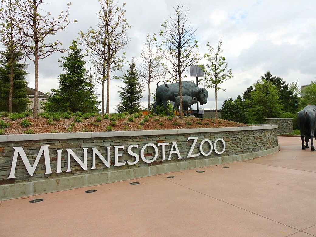 Picture of Minnesota Zoo