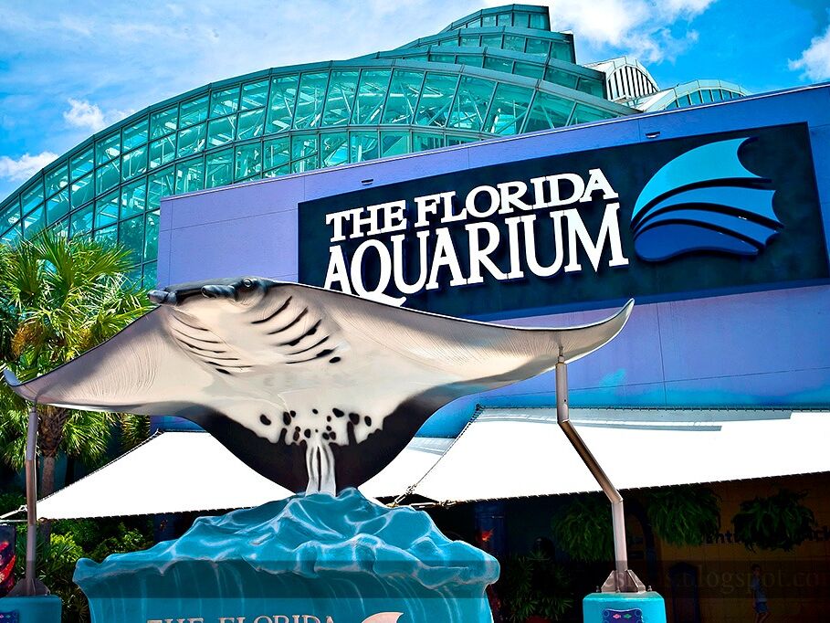 Picture of The Florida Aquarium