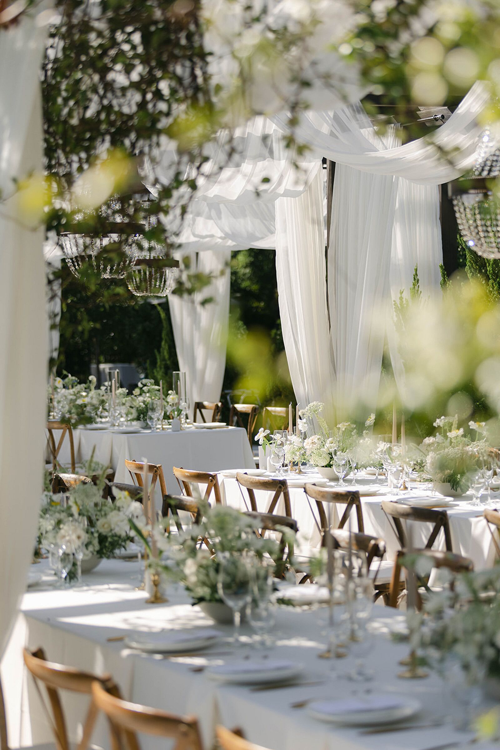 Estate Reception With Long Tables, Low Centerpieces With White and Green Tones, Drapery